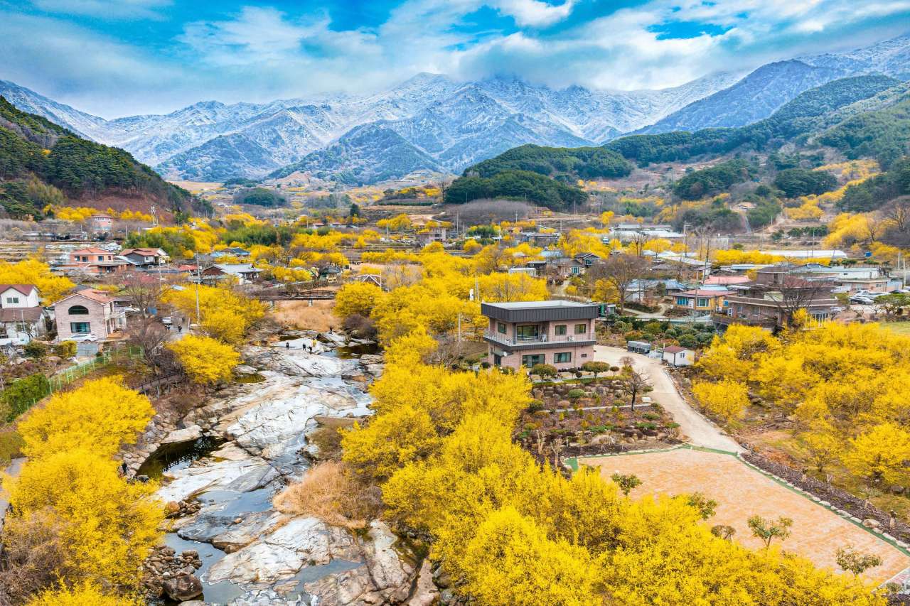 지리산 산수유마을 / 사진=한국관광공사 포토코리아@김영수