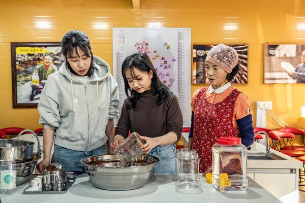 체험중인 방문자