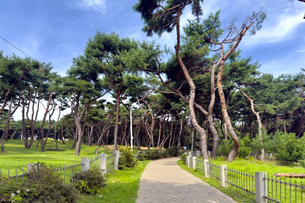 주변 산책 코스 연계 / 사진=인천투어갤러리