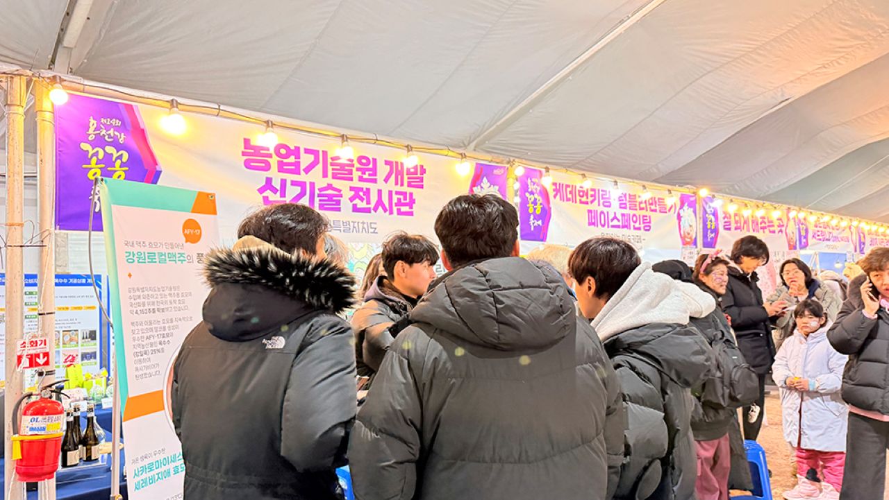 다양한 체험부스 / 사진=홍천강꽁꽁축제 공식 누리집