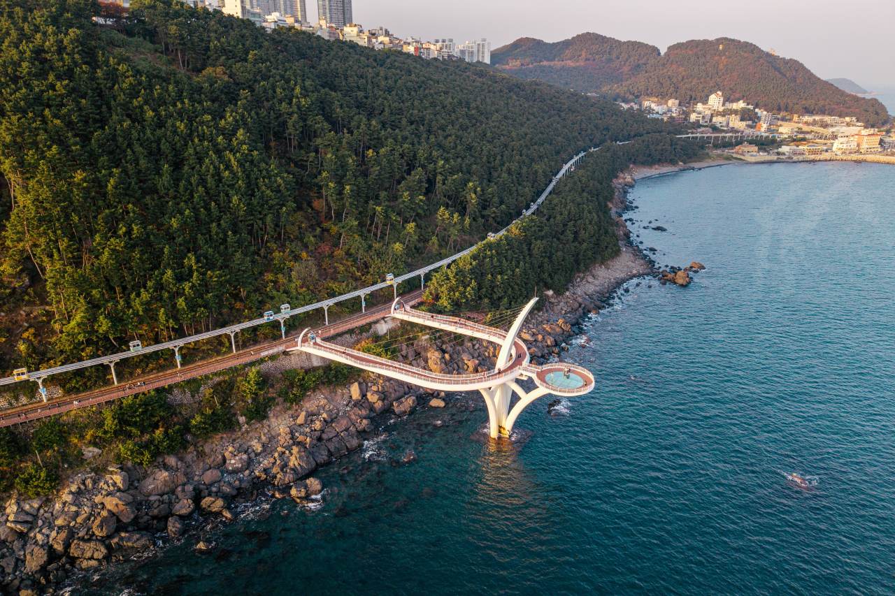 달맞이길과 이어지는 최고의 산책 코스 / 사진=부산관광아카이브@써머트리, 신경민