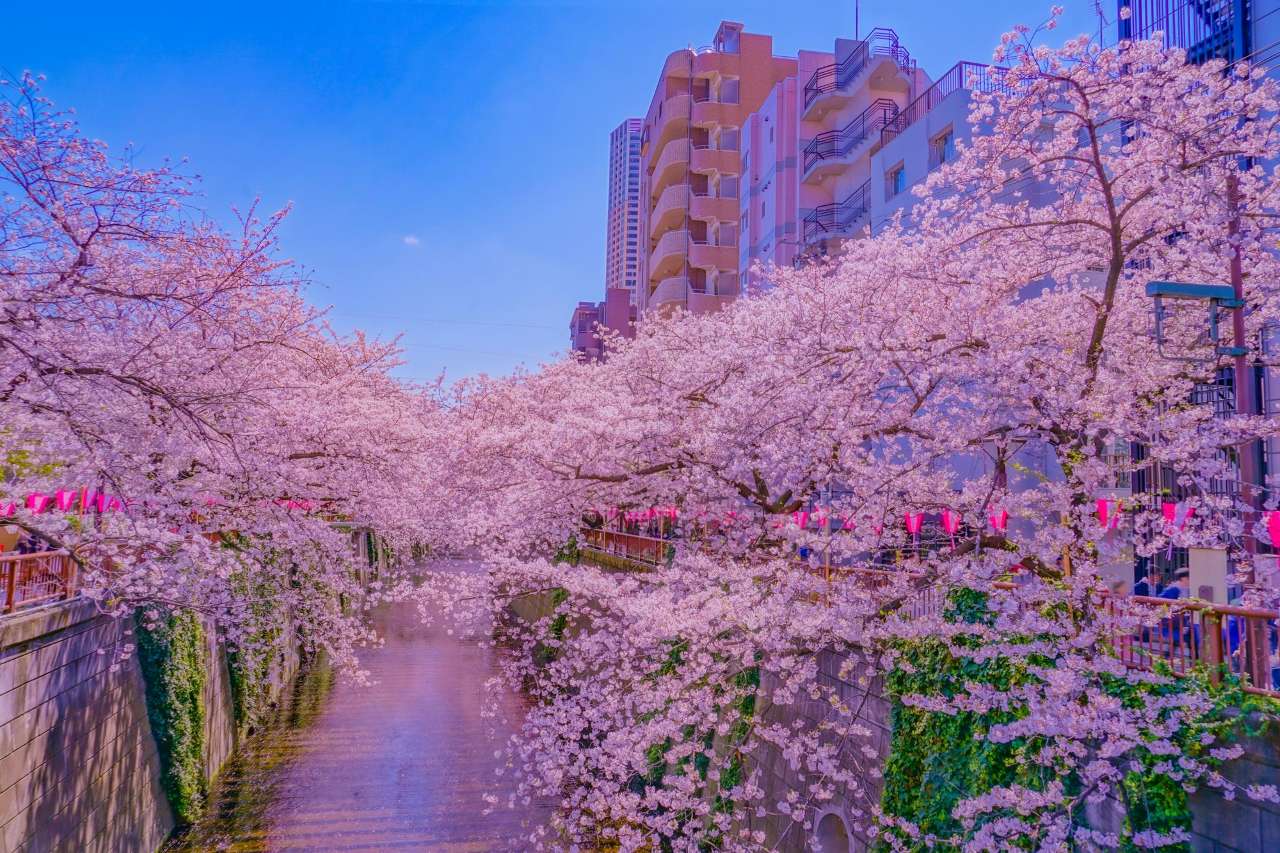 4월 일본 여행 추천