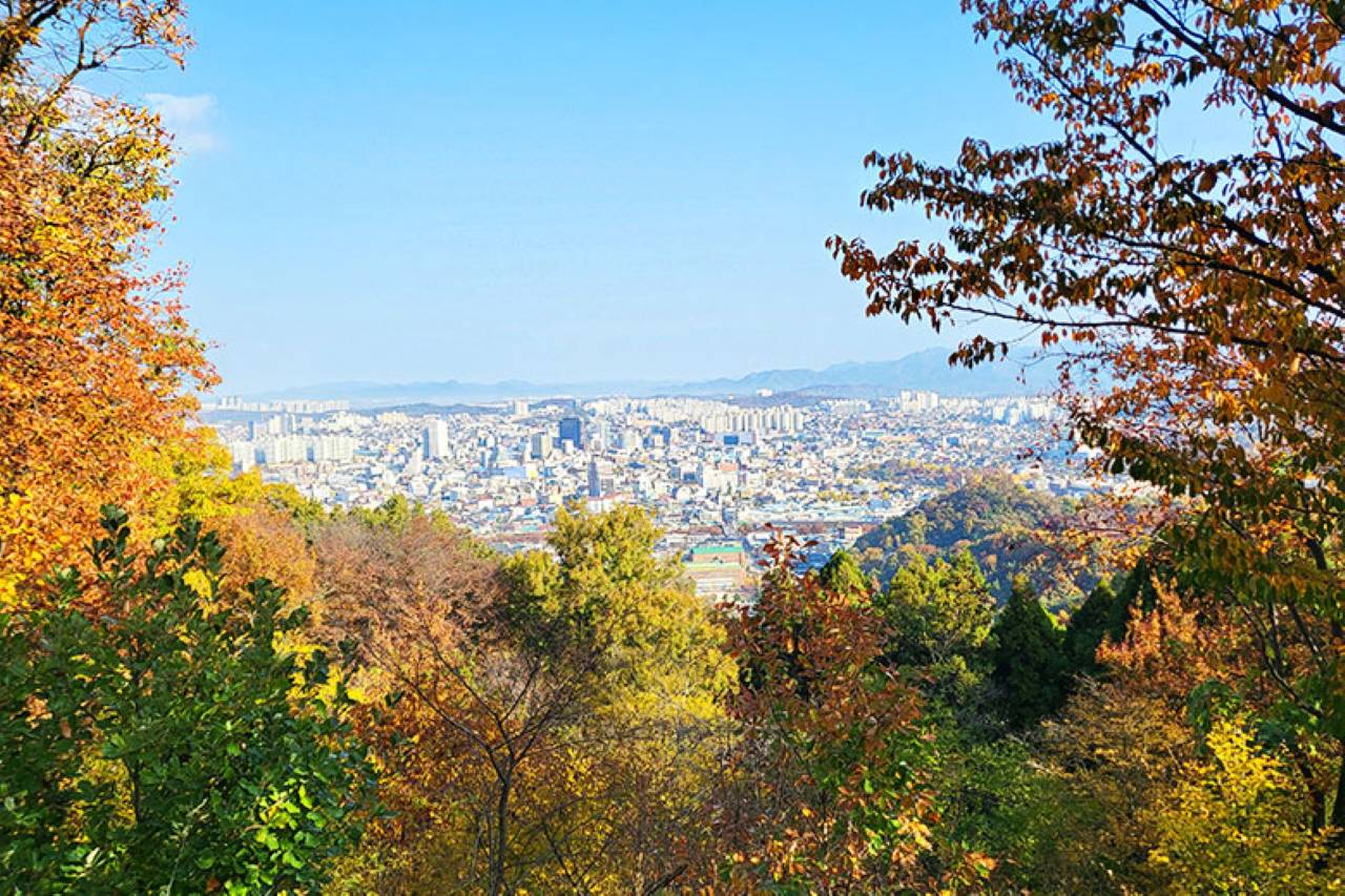 완산칠봉에서 바라본 전주 / 사진=비짓전주