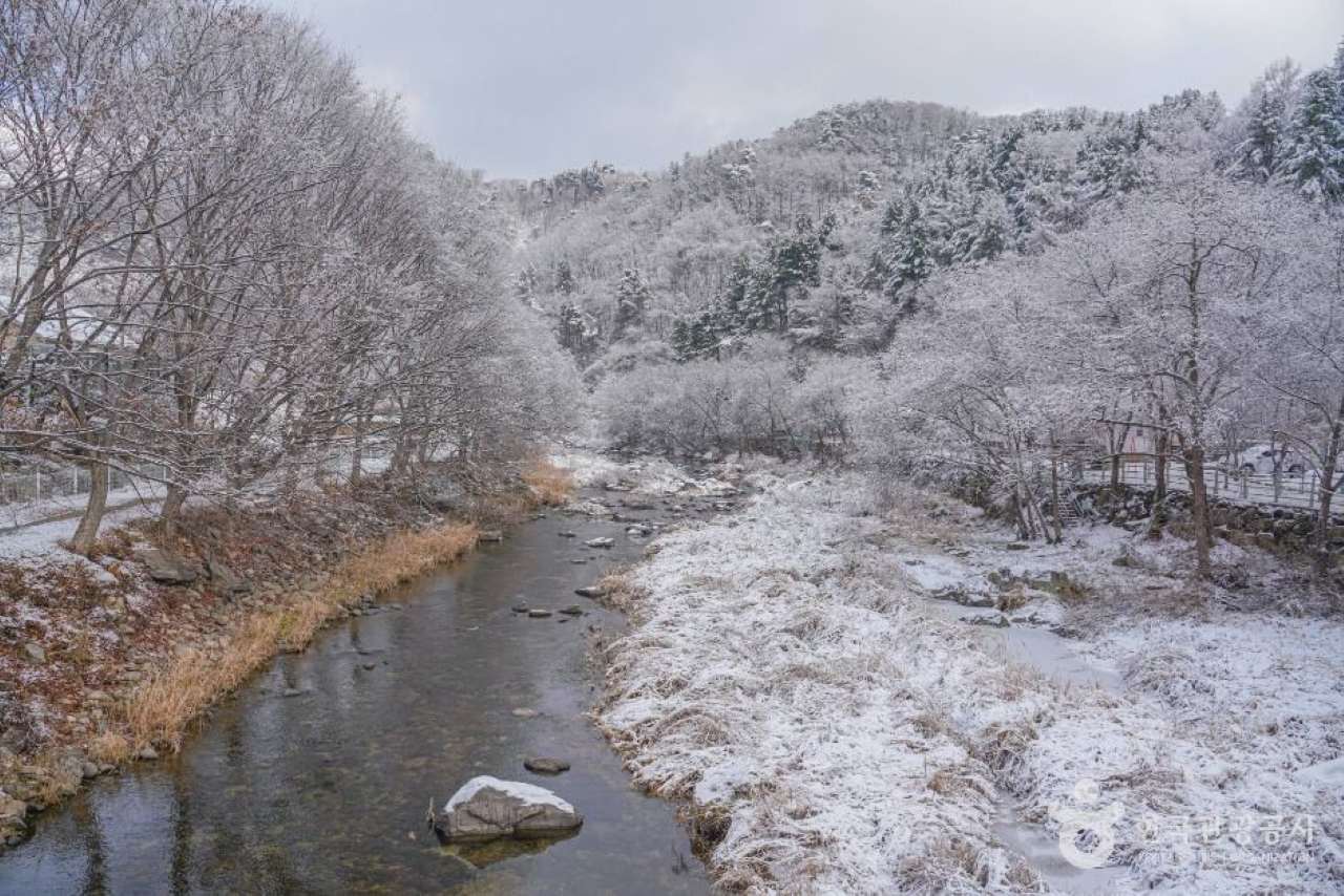 설경