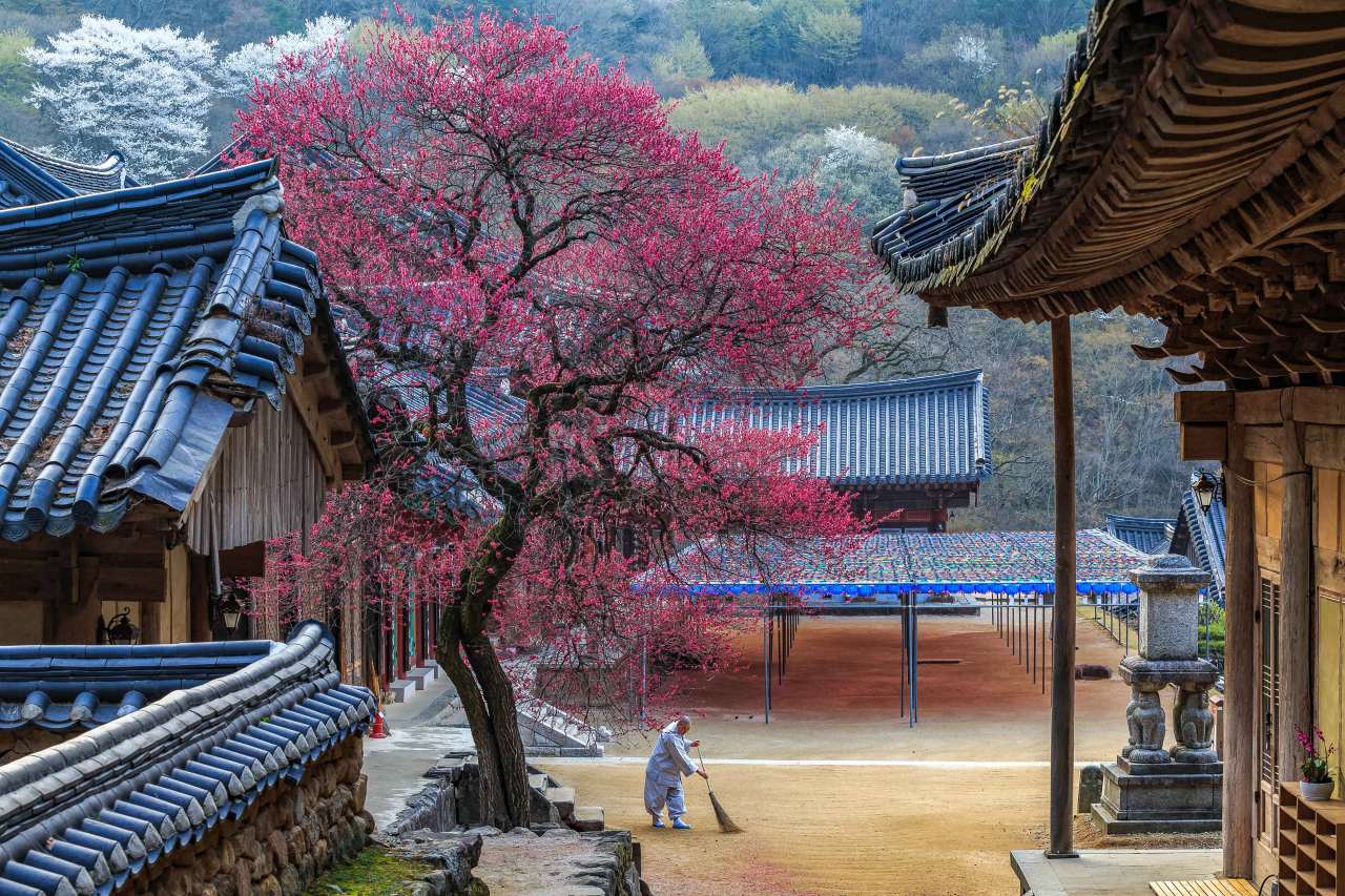 산사의 아침 / 사진=한국관광공사 포토코리아@신윤철