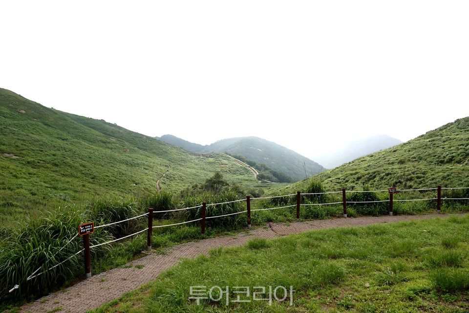 화왕산