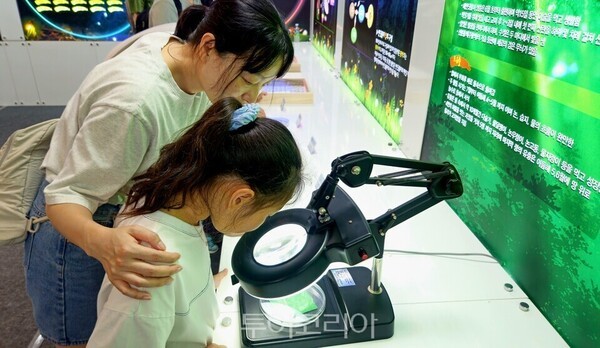 무주반딧불축제를 찾아 반딧불이 유충을 관찰하는 체험객
