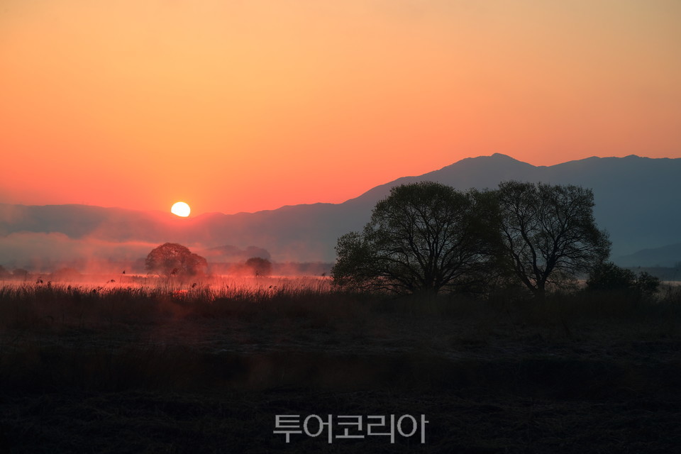 친환경 추천 여행지 '창녕 우포늪'