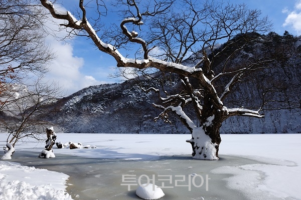 청송 주산지 설경/사진-청송군