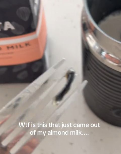 引用： TikTok