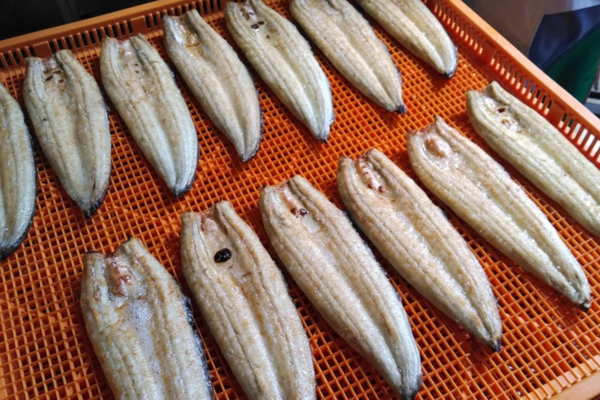 izakaya-kukai
