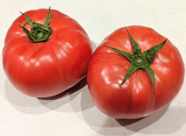 recipe-blog