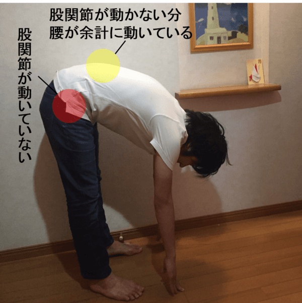 abushikigaisya-rigakubody.co.jp