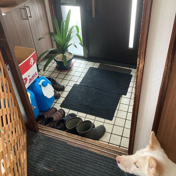 roomclip