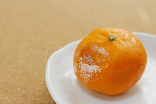 photo-ac.com