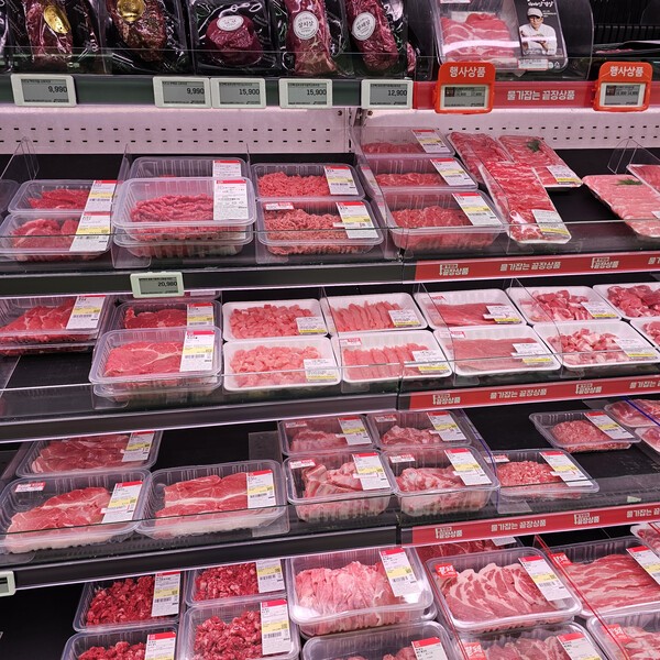 건강의 모든 것