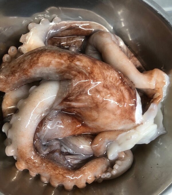 ameblo