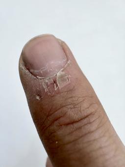 .photo-ac.com