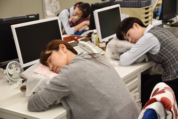 mainichi.jp