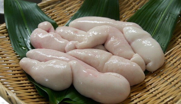 fugu-sakai