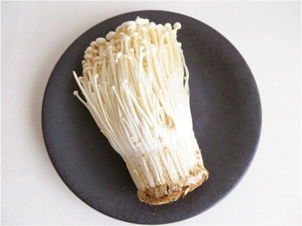 kurashinista