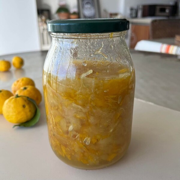 sacci-cook