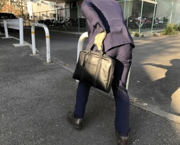yokohamaseitai.xyz
