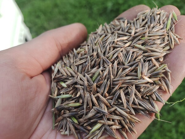 nihonbarefarm.com