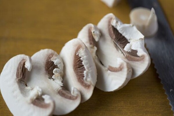 kurashinista