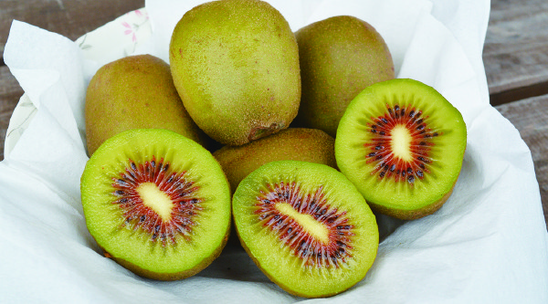 shimotsuke