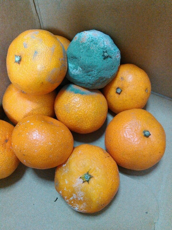 ameblo