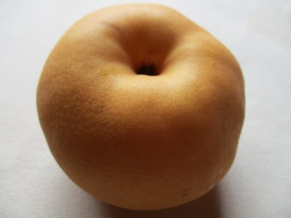 allabout.co.jp