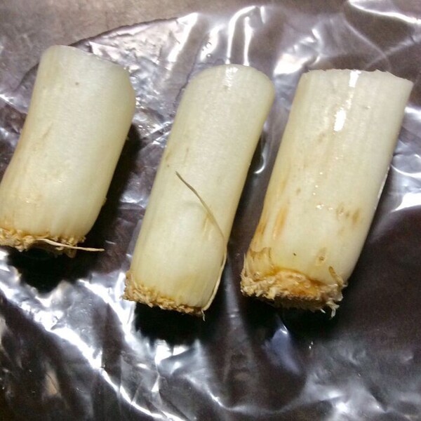 kurashinista