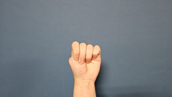건강의 모든 것