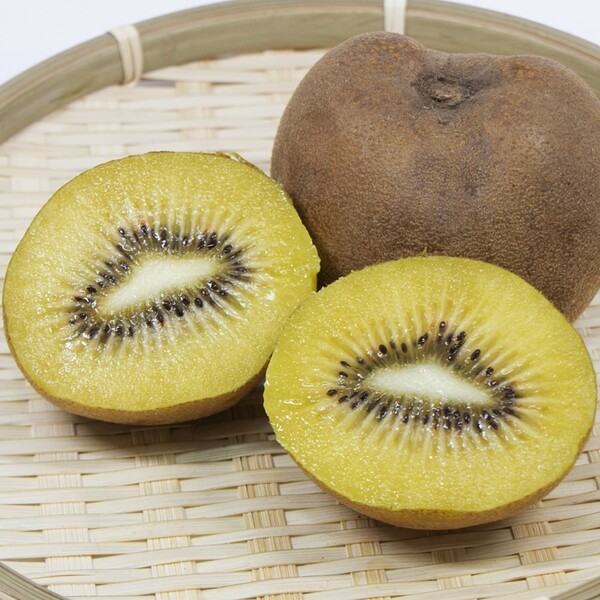 hanahiroba