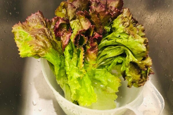 kamaivege