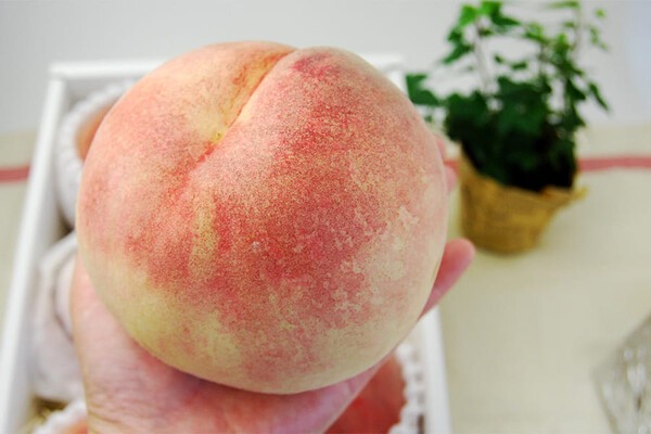 umaies