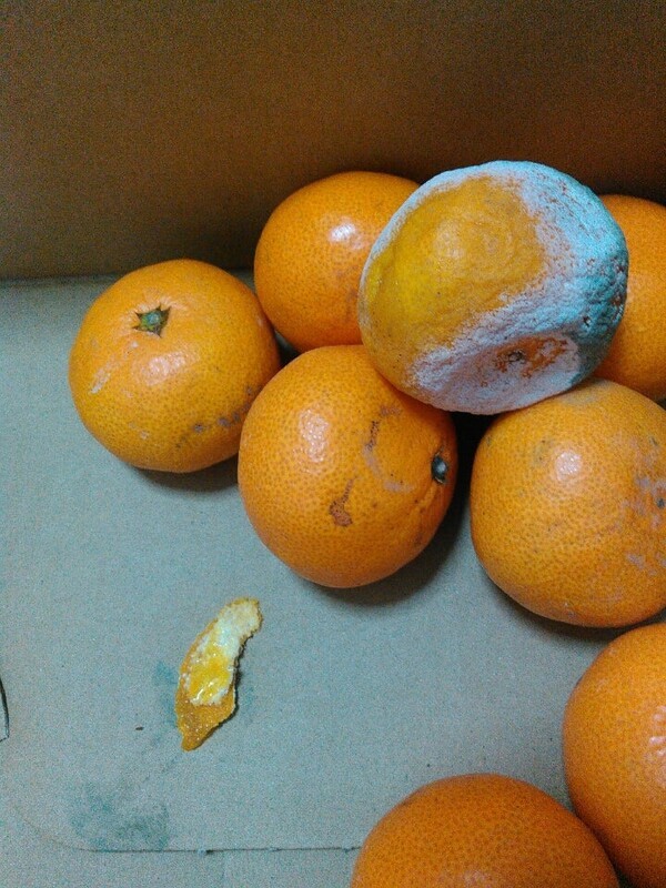 ameblo