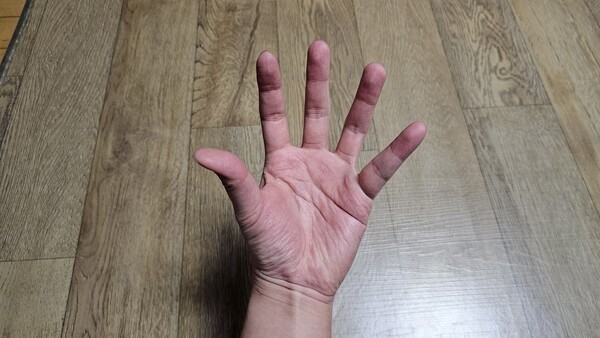 건강의 모든 것