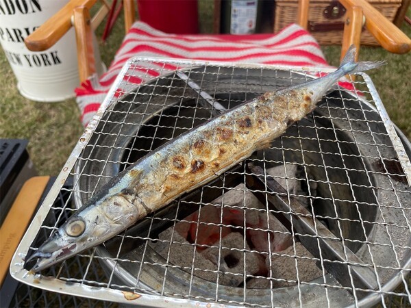 wakatacamp
