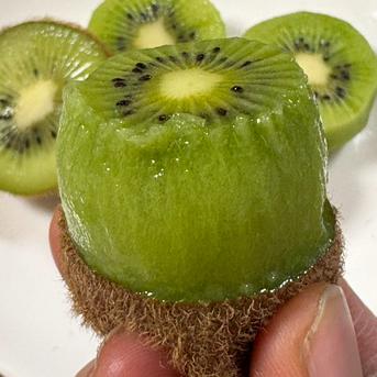 owl-food.com