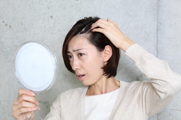 .bfc-hime.com