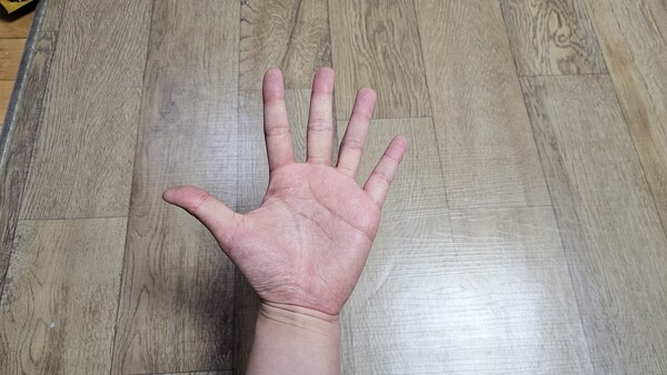 건강의 모든 것