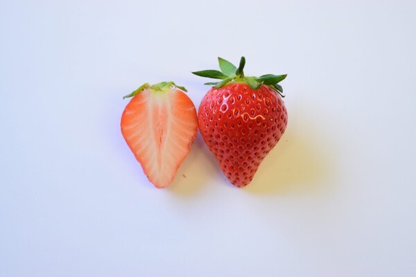 fruit-flowerpark.jp