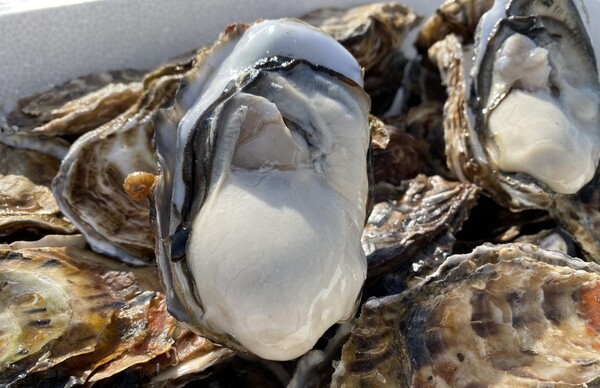 oysterbar