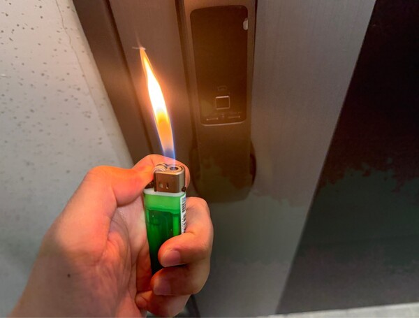 건강의 모든 것