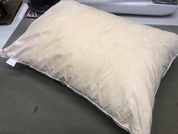 suzaka-cleaning