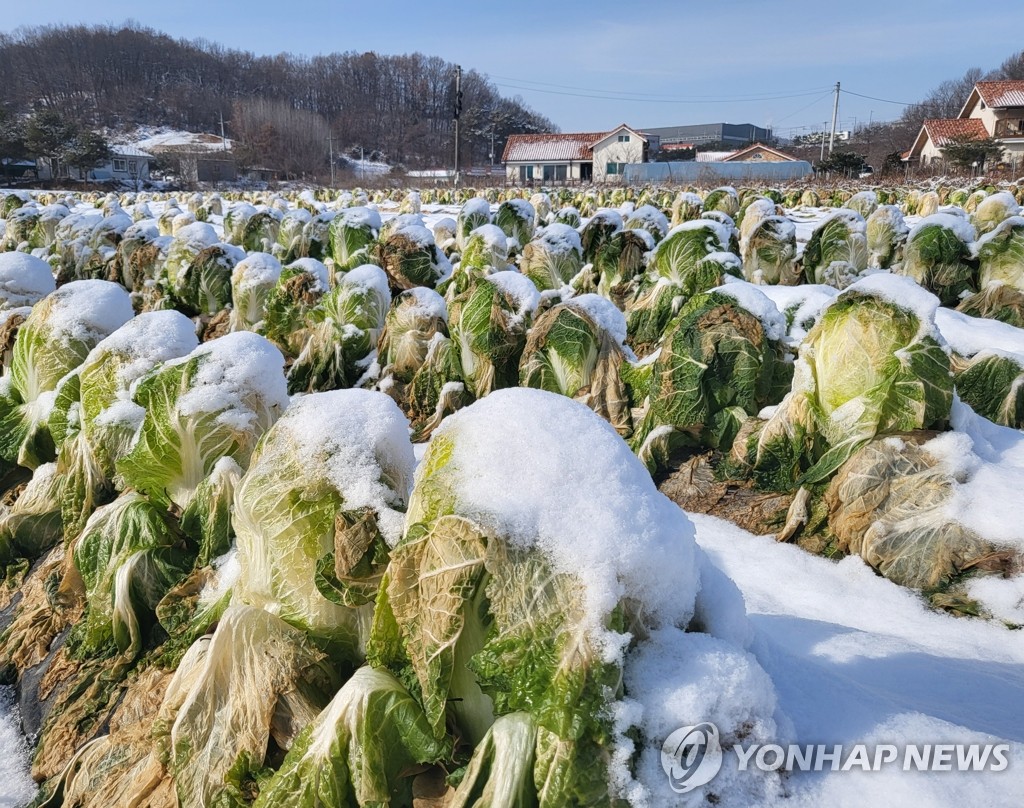 사진=연합뉴스