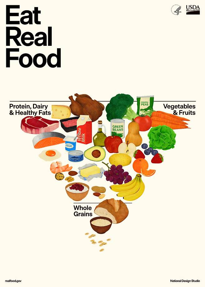 USDA 식품피라미드 지침