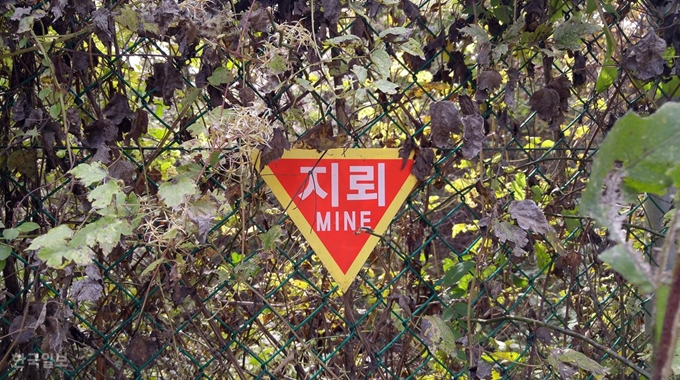 신상순의 시선] 지뢰밭 앞 상념 | 한국일보